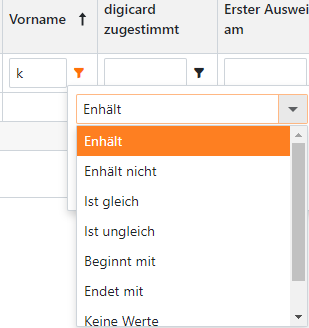 Aufgeklapptes Menü mit Beispielen für Filter